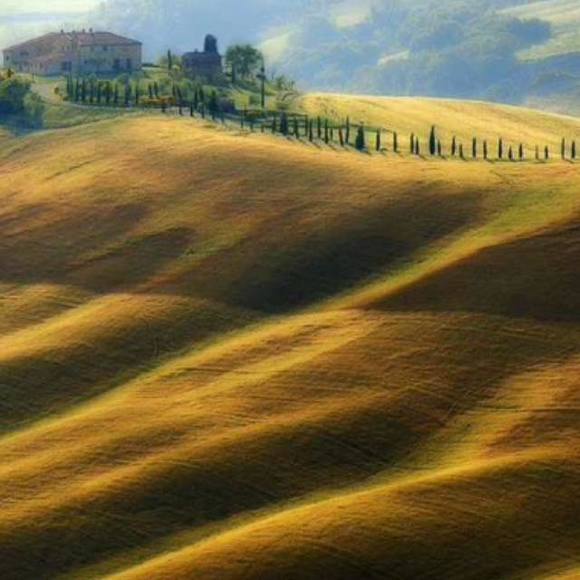 Meet your Posher, Eva - Picture 1 of 1